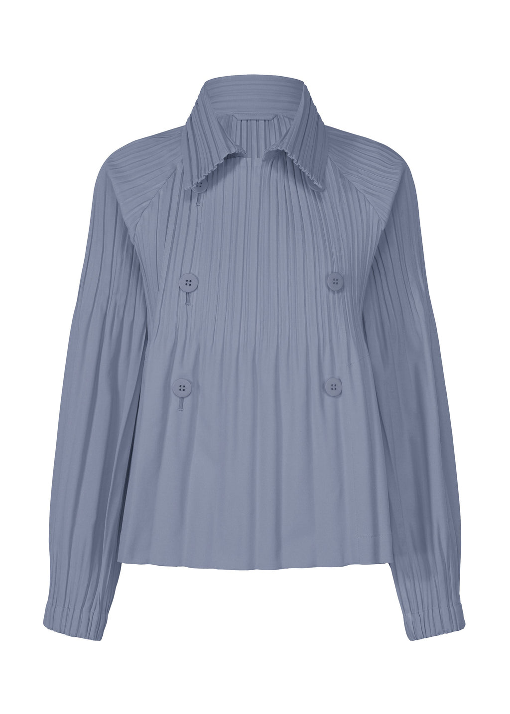 Smooth Coat - BLUE GRAY