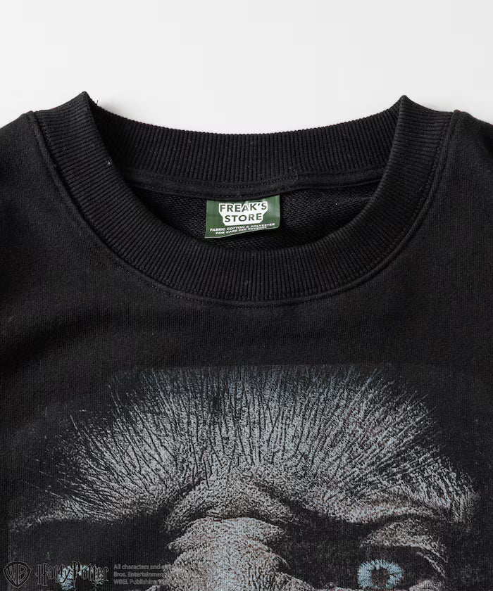 Harry Potter / Harry Potter Greyback Crewneck Sweat