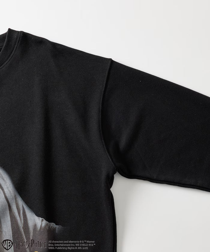 Harry Potter / Harry Potter Lord Voldemort Crew Neck Sweat