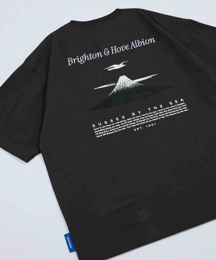 [Release on 5/22 at 12:00] BHA SEAGULLS JAPAN LANDSCAPE TEE - Charcoal Gray