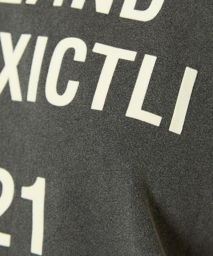 Flocky Print Big T-shirt