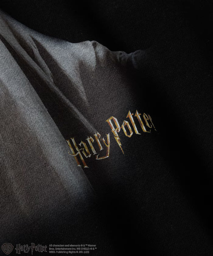 Harry Potter / Harry Potter Lord Voldemort Crew Neck Sweat