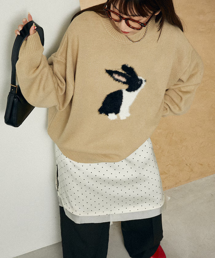 Shaggy Embroidered Rabbit Design Knit Limited Edition - Beige
