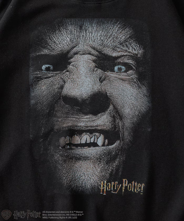 Harry Potter / Harry Potter Greyback Crewneck Sweat