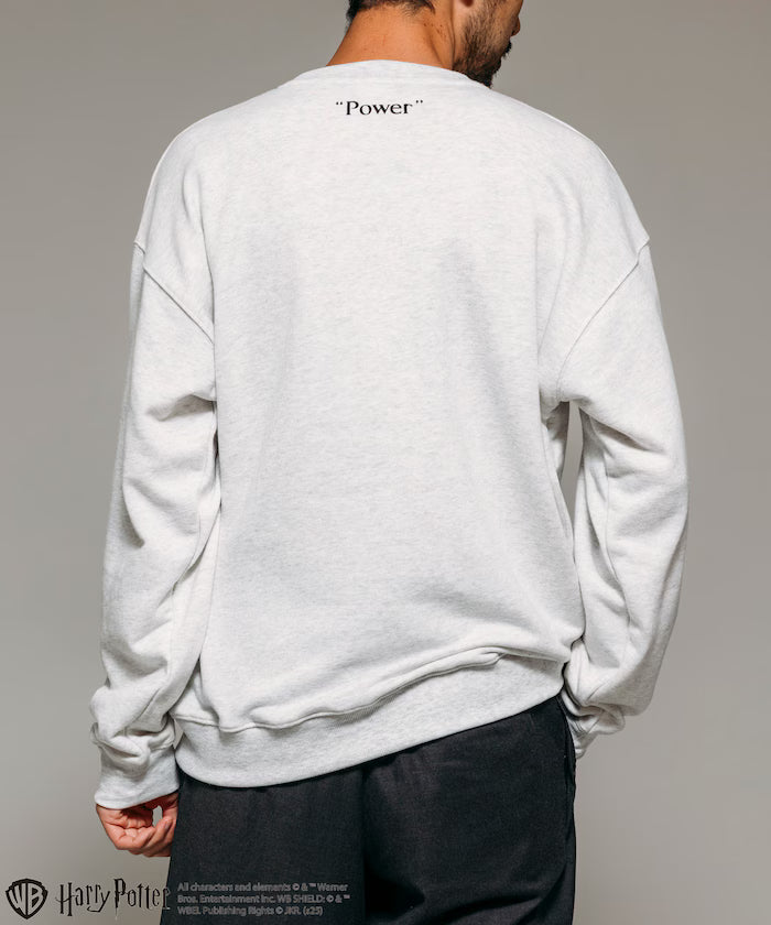 Harry Potter / Harry Potter Lord Voldemort Crew Neck Sweat