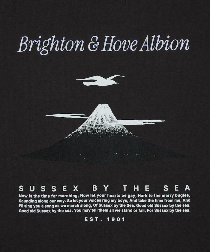 [Release on 5/22 at 12:00] BHA SEAGULLS JAPAN LANDSCAPE TEE