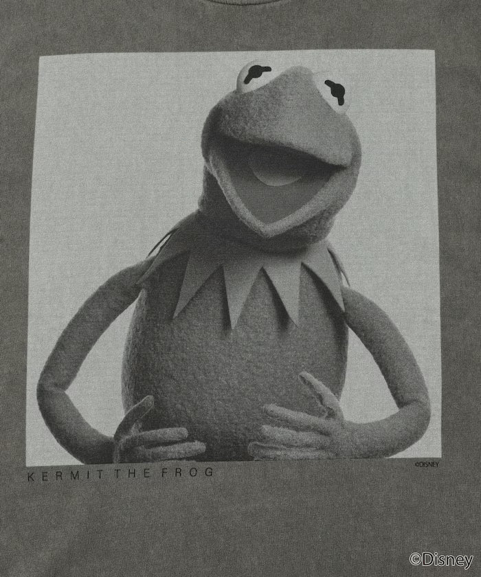 The Muppets / THE MUPPETS / PHOTO / Front Print Short Sleeve T-Shirt