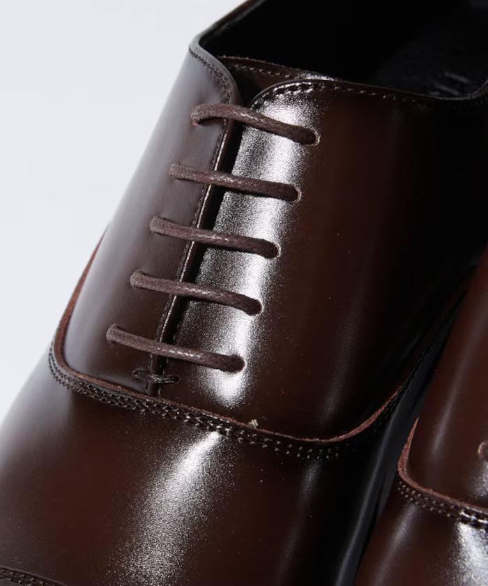 Straight Tip Dress Shoes [25.5~27.5cm] 【Limited Edition】