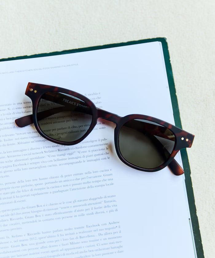 OLA VISTA Photochromic