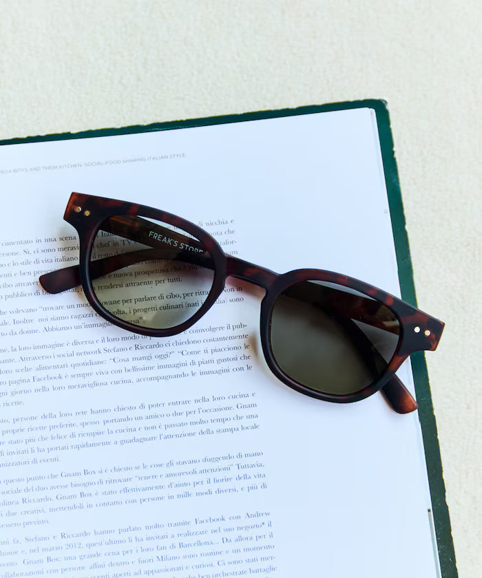 OLA VISTA Photochromic - Brown