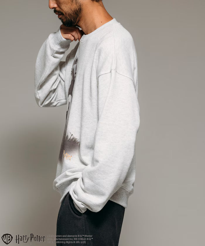 Harry Potter / Harry Potter Lord Voldemort Crew Neck Sweat
