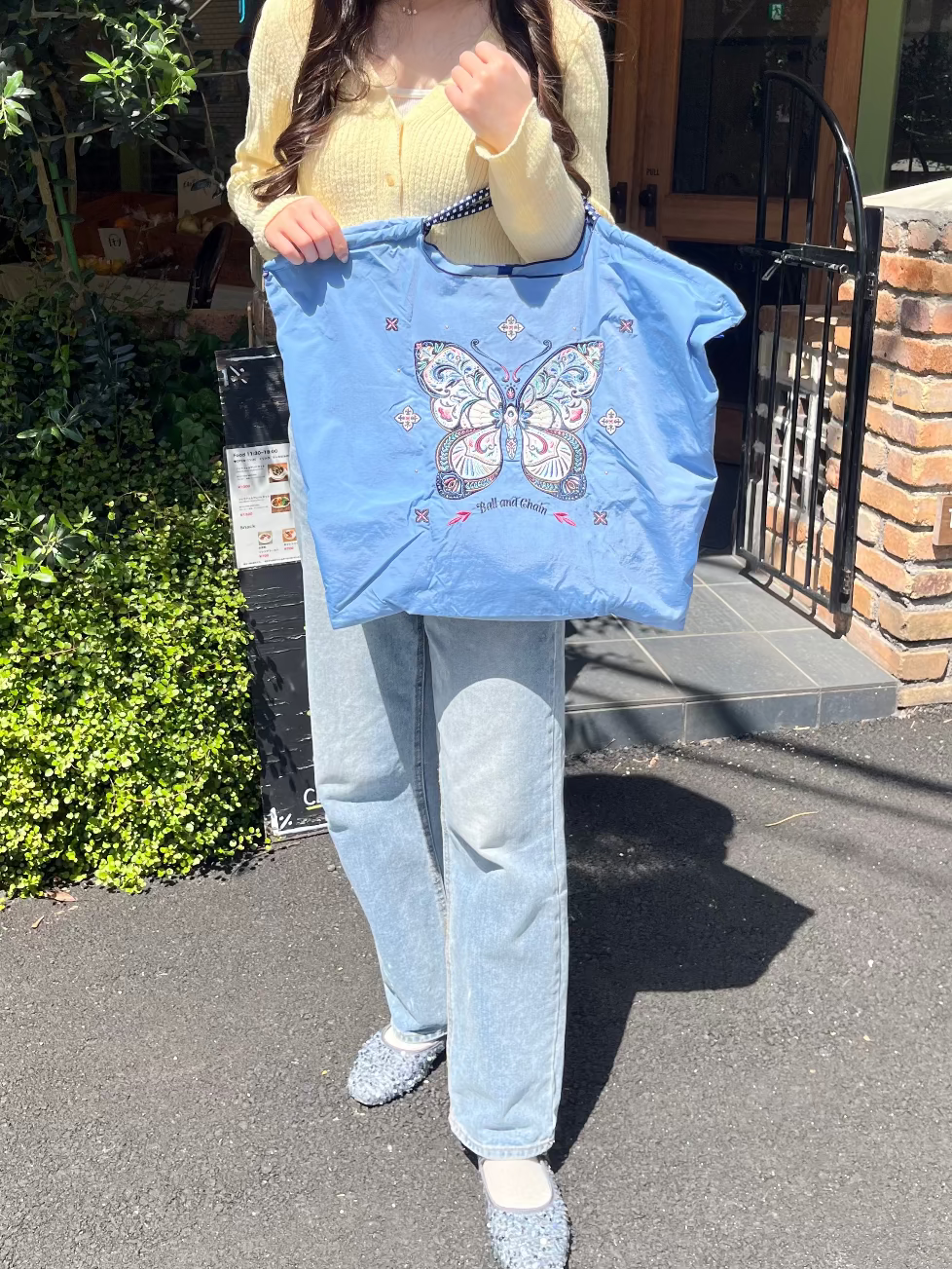 Papillon(Butterfly) L#74 Z/BLUE-301180