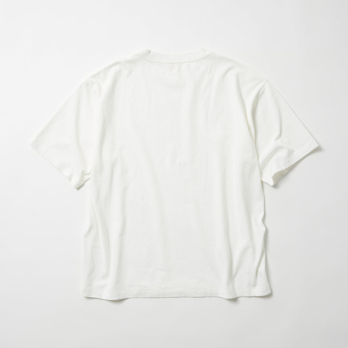 GL79661 / 1-PACK T-SHIRT
