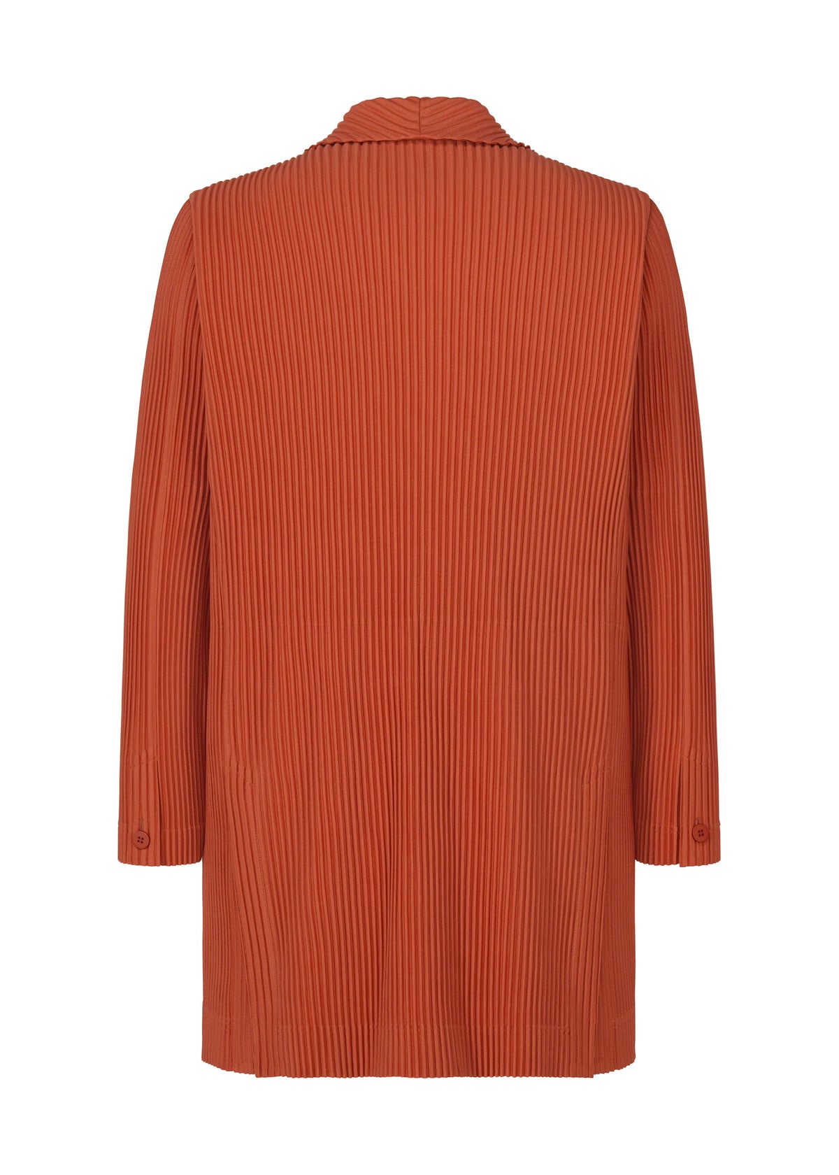 Tailored Pleats 3