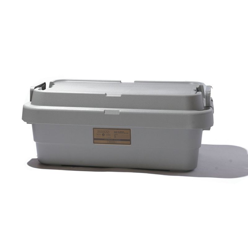 TRUNK CARGO CONTAINER LOW 30L/GRAY