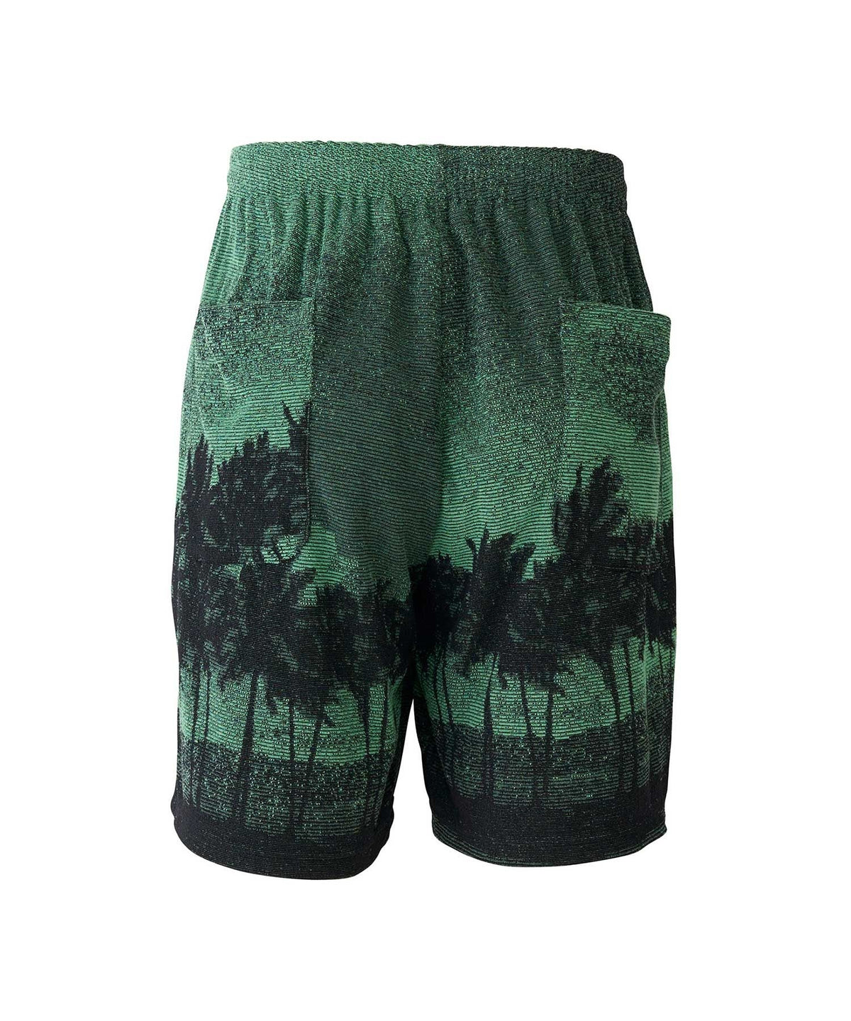 Thrills And Delights Jacquard Shorts