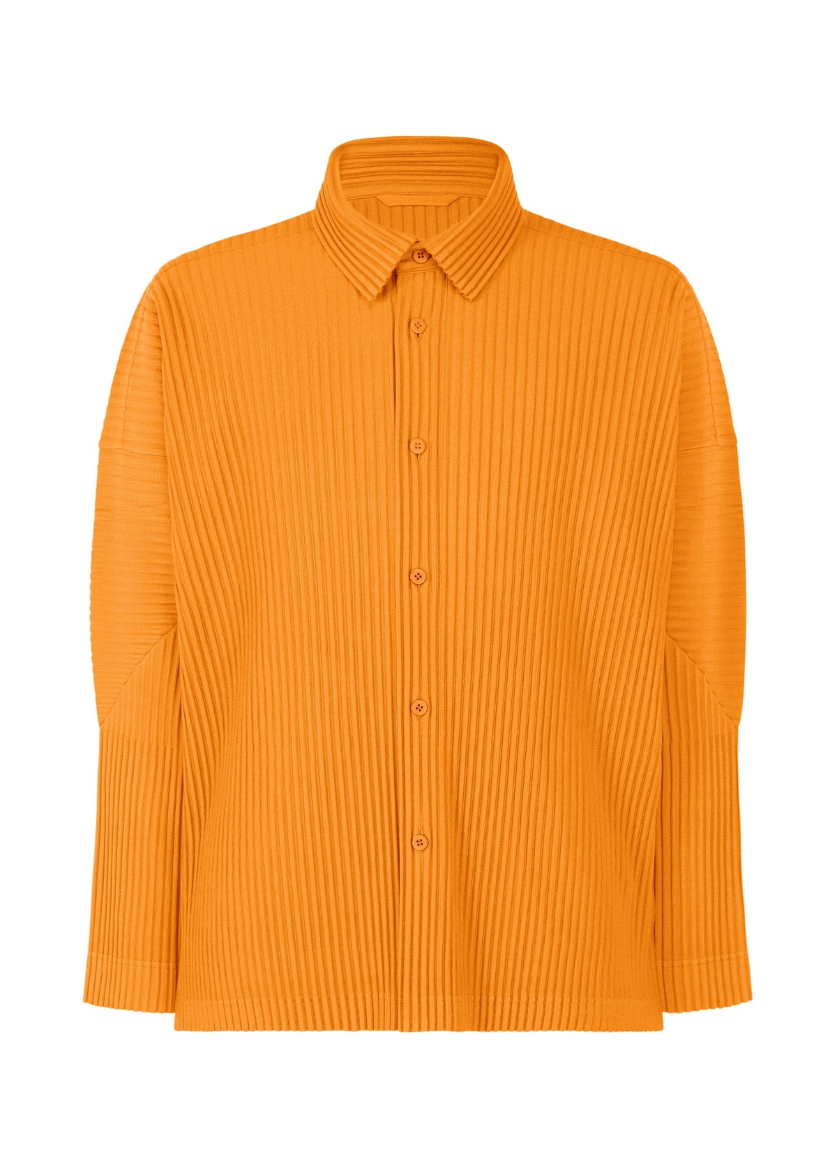 Monthly Colors : October