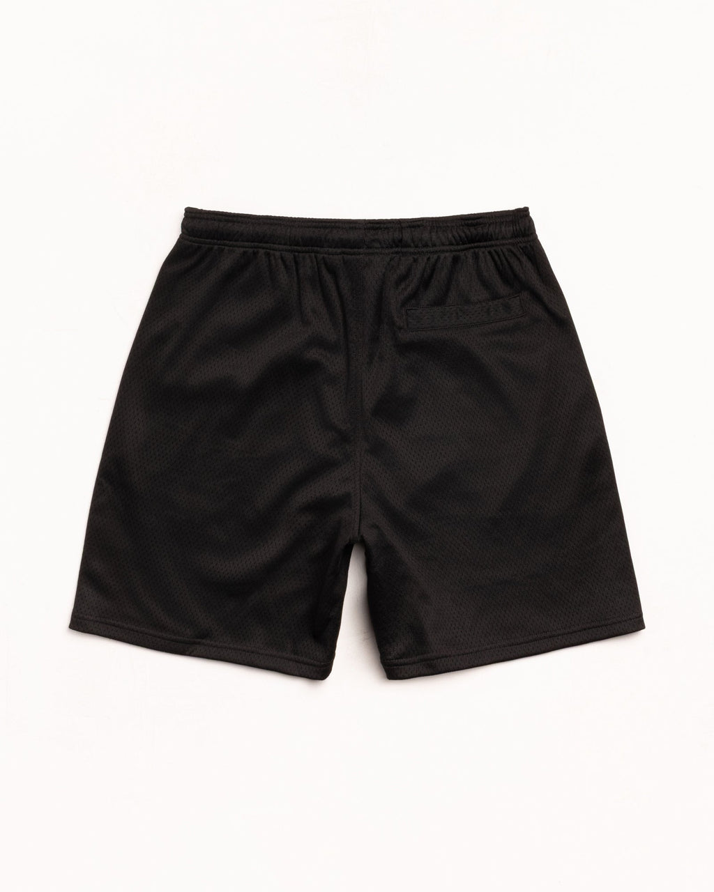 MESH SHORT BIG BASIC