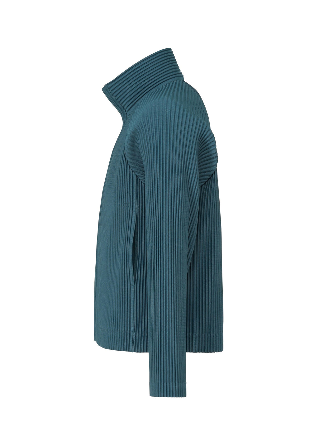 Tailored Pleats 1