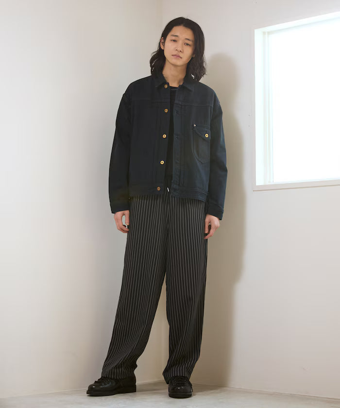 Spindle Stripe Easy Wide Pants / Compatible with Setup