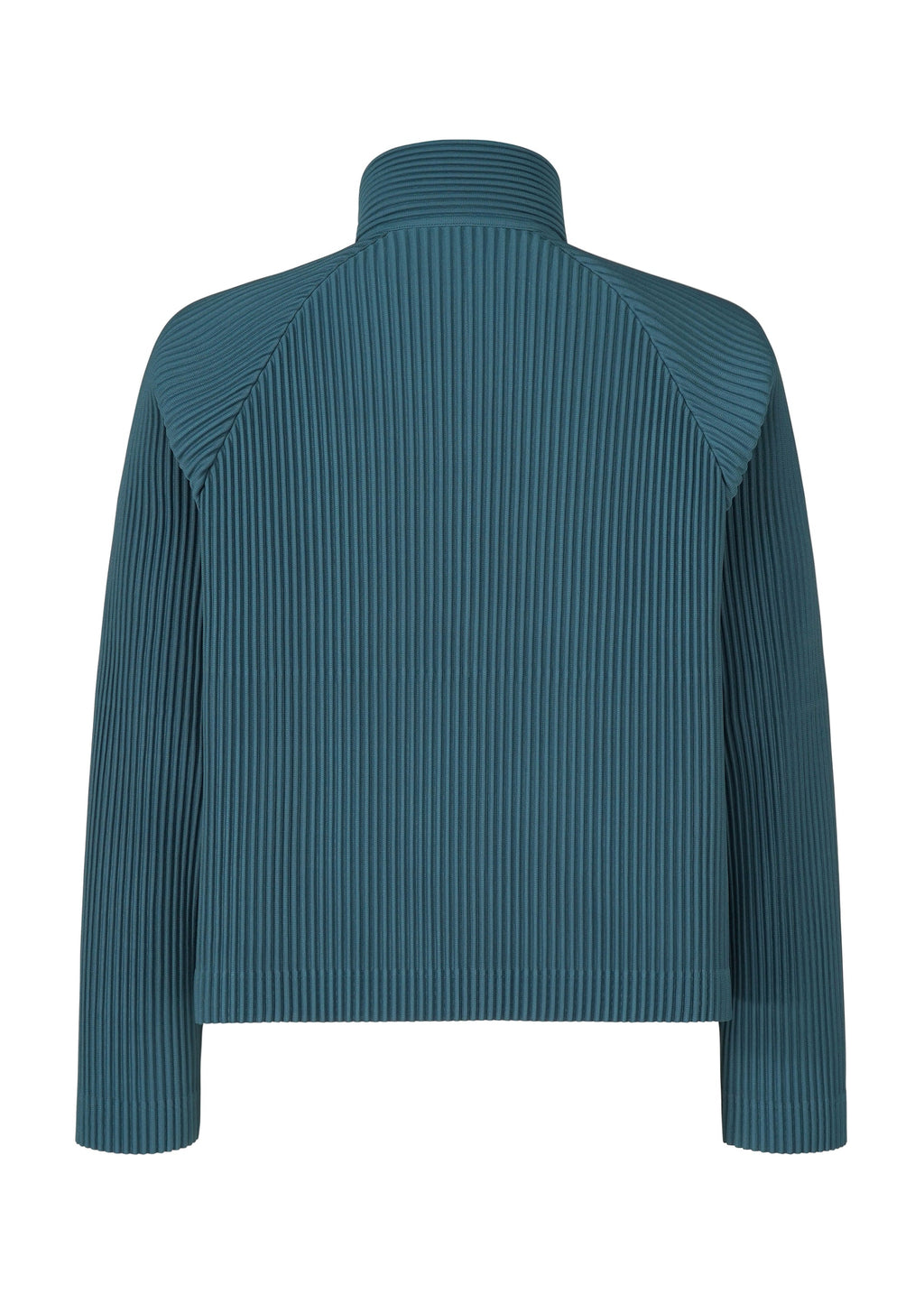 Tailored Pleats 1
