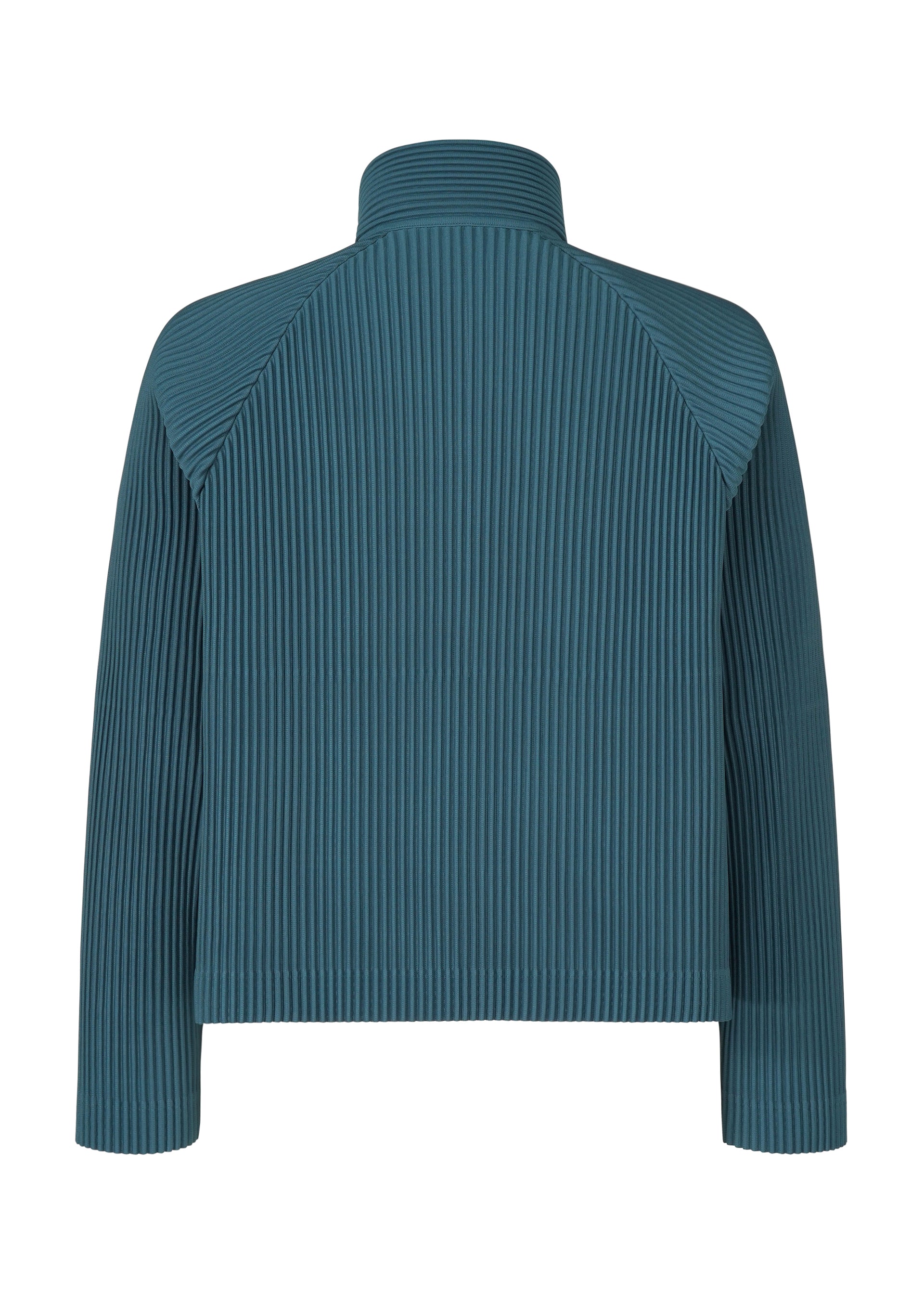 Tailored Pleats 1