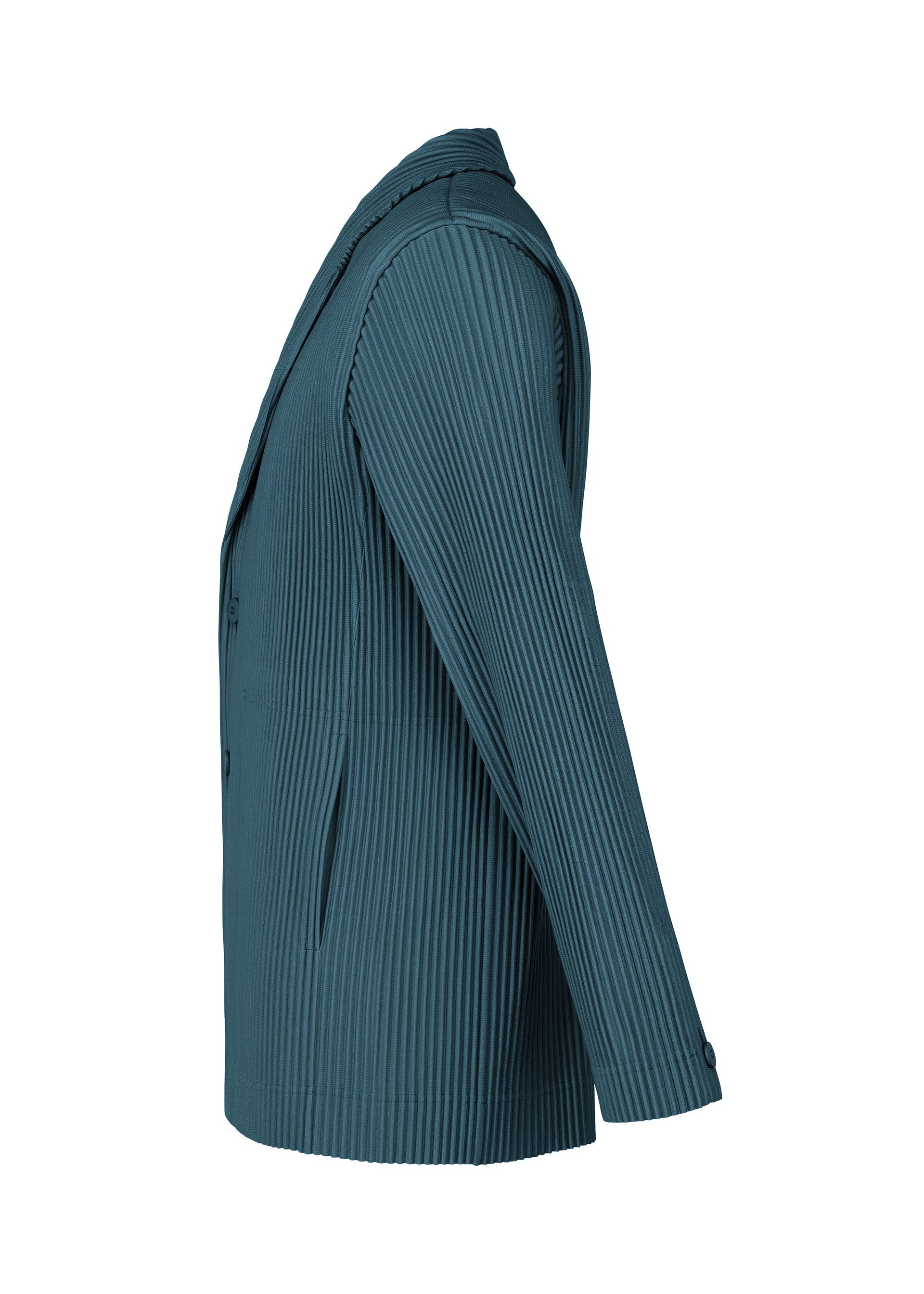 Tailored Pleats 1