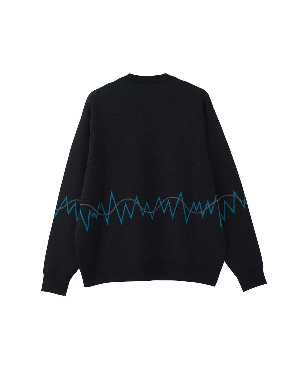 HG NEW WAVE LOGO Embroidered Sweater