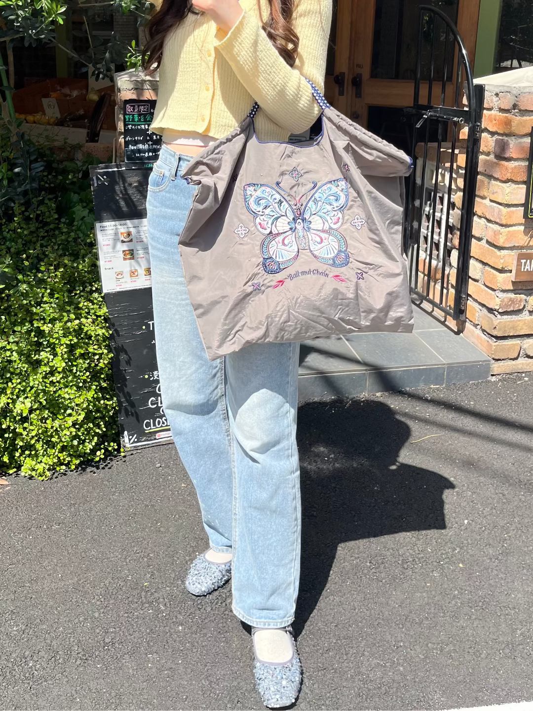 Papillon (Butterfly) L#85 F/GRAY-301180
