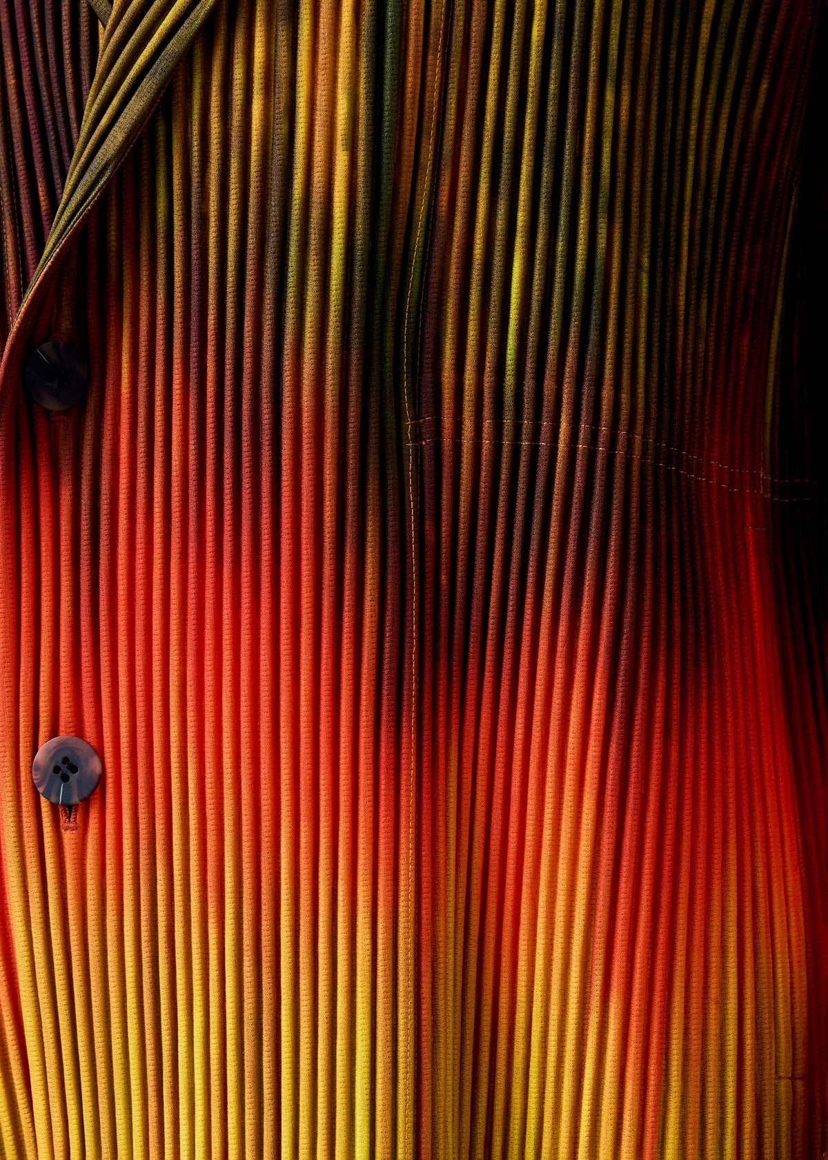 Paint Brush Close-Up