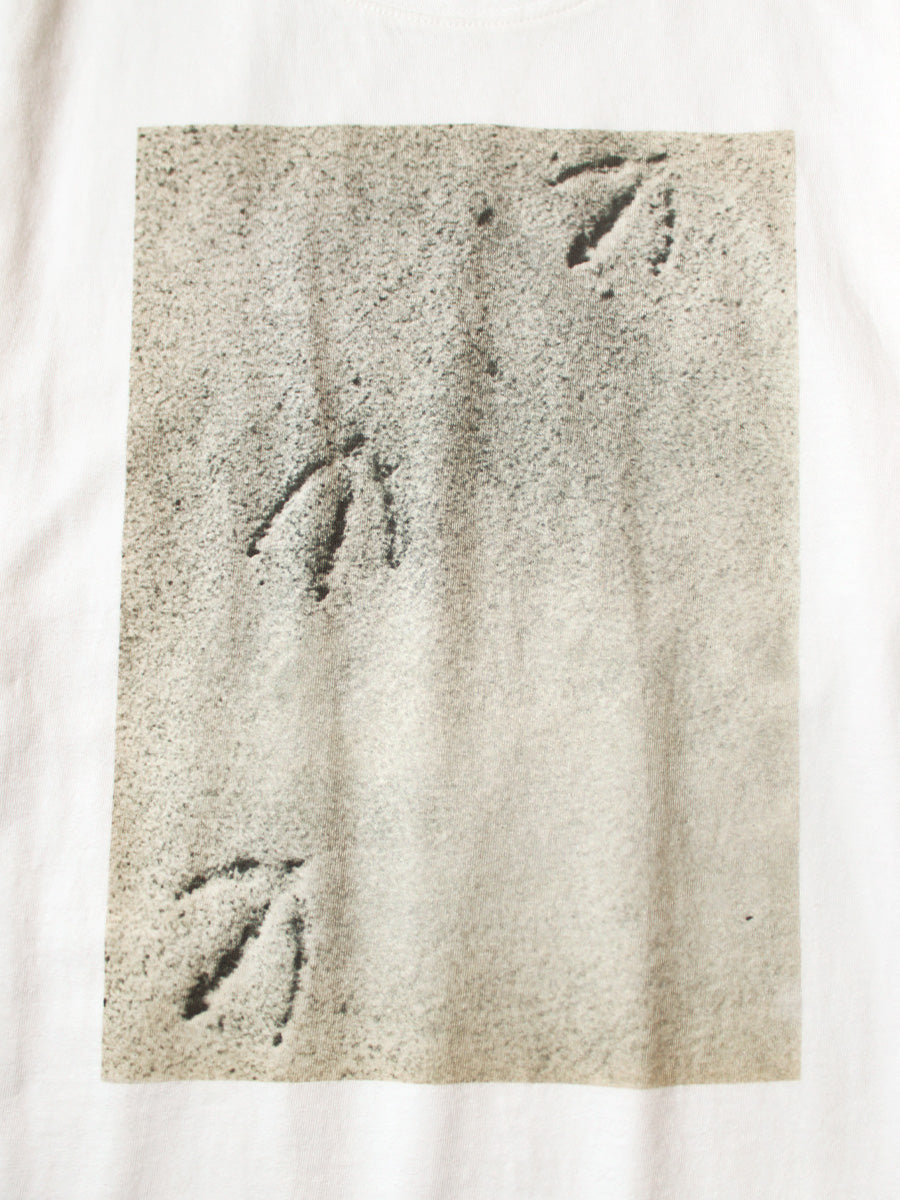 20/-Cotton CrewロンT(GULL FOOTpt)