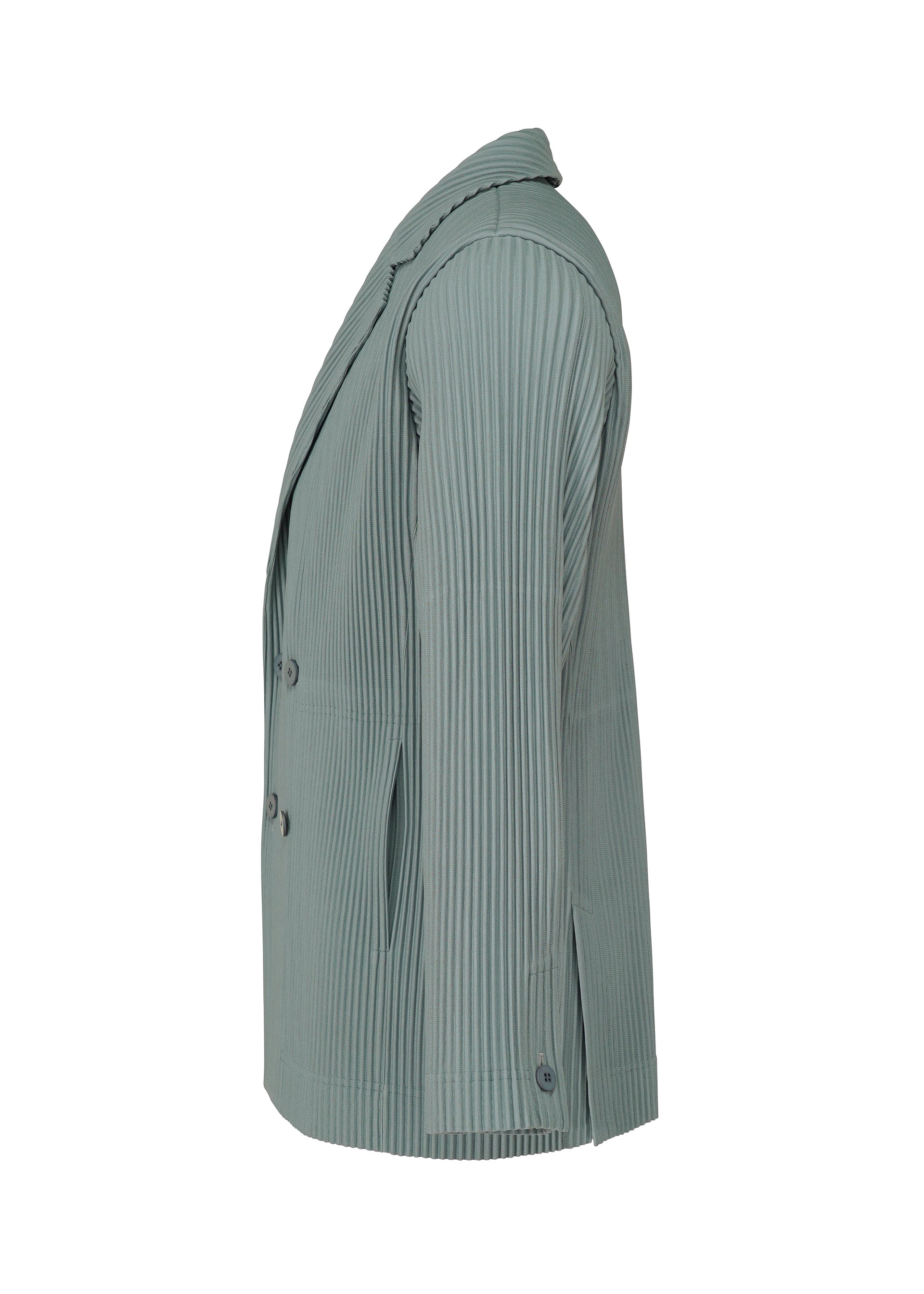 Tailored Pleats 1