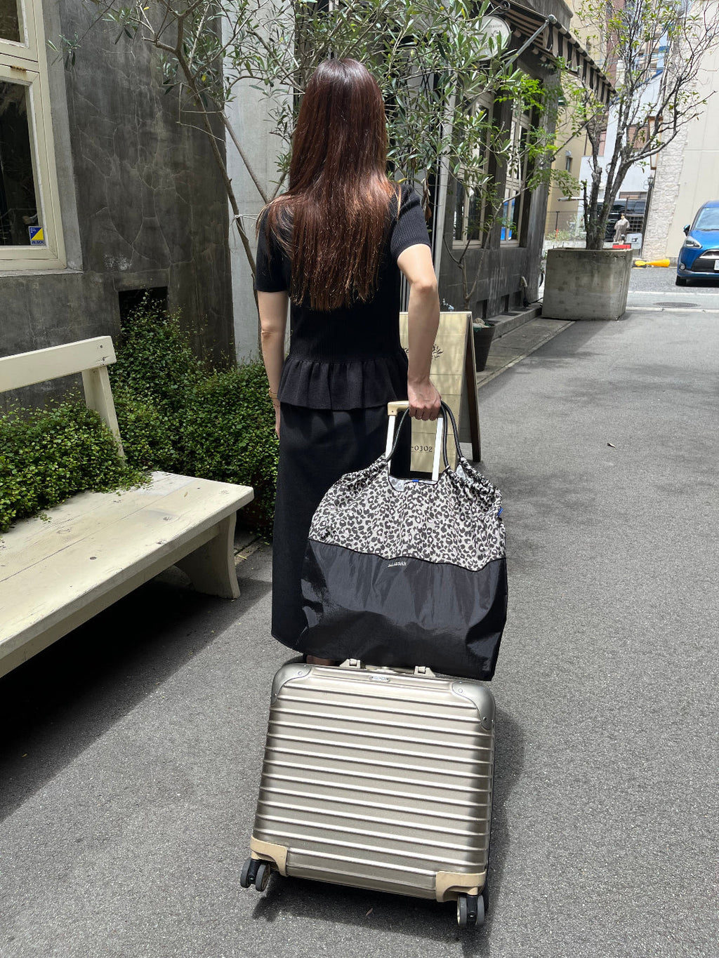 Bicolor Model(L#9201 LEO/GRAY/BLACK-301195)