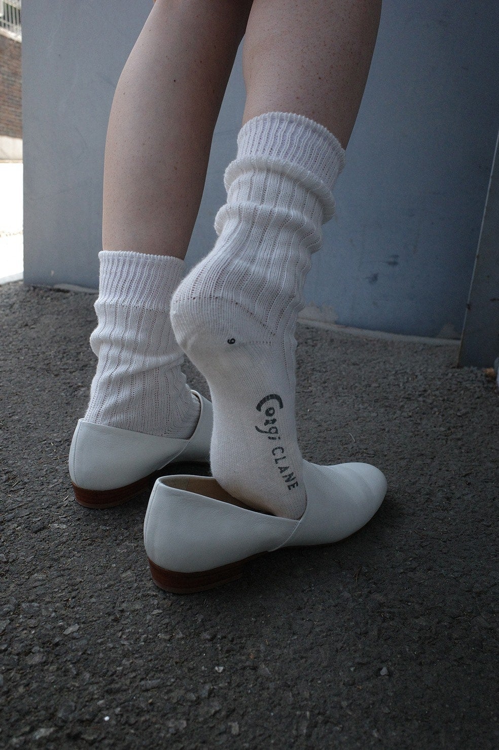 CLANE&times;CORGI CORGI SOFT COTTON RIB SOX