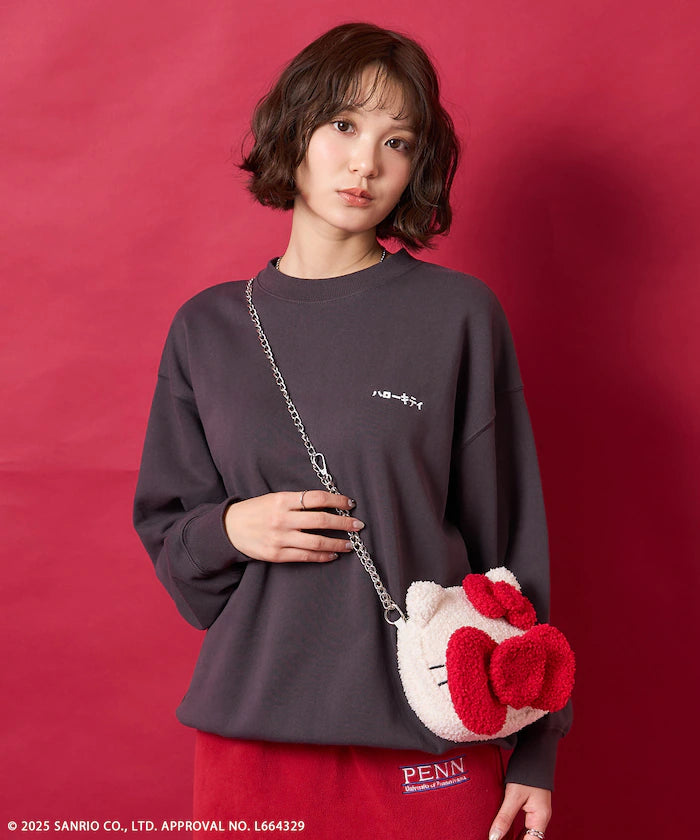 Hello Kitty Fuzzy Pouch Chain Bag