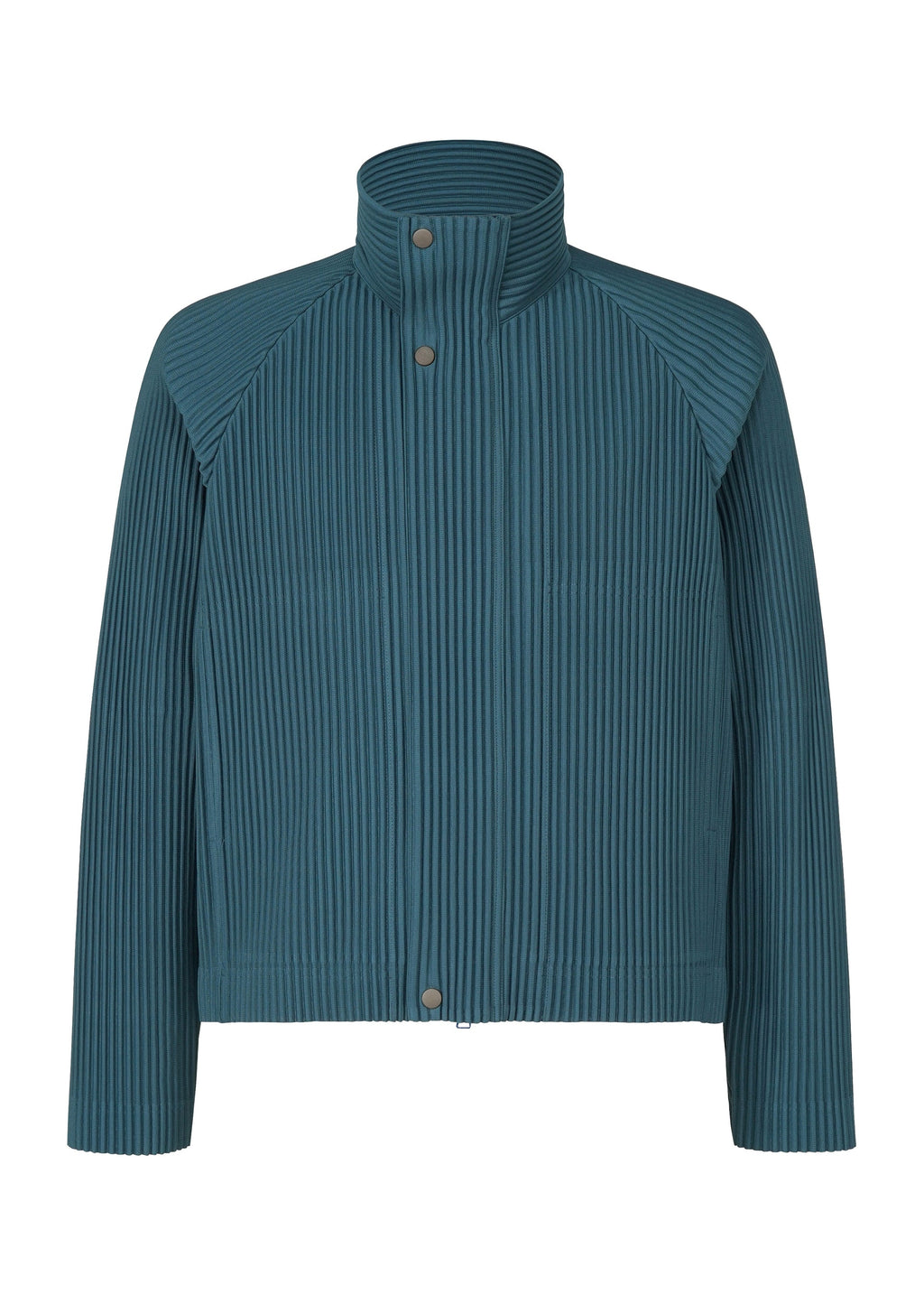 Tailored Pleats 1