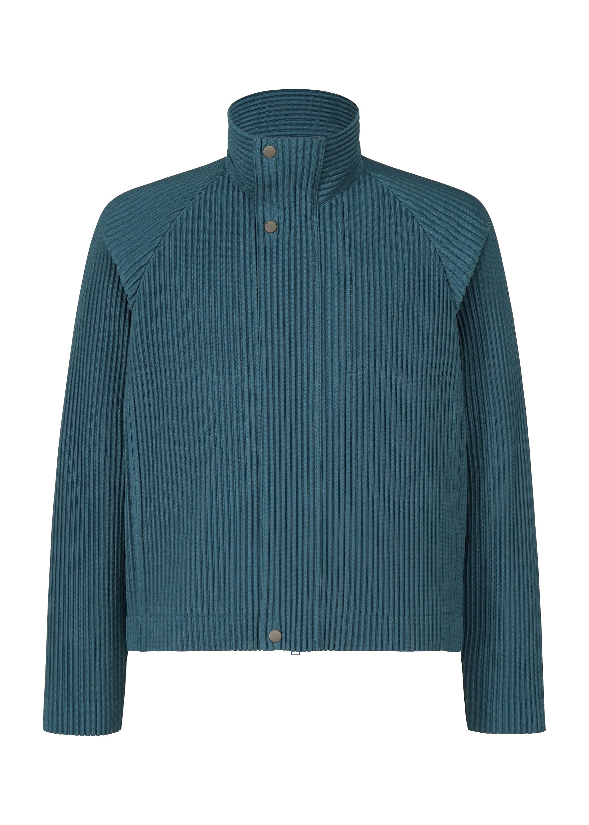 Tailored Pleats 1