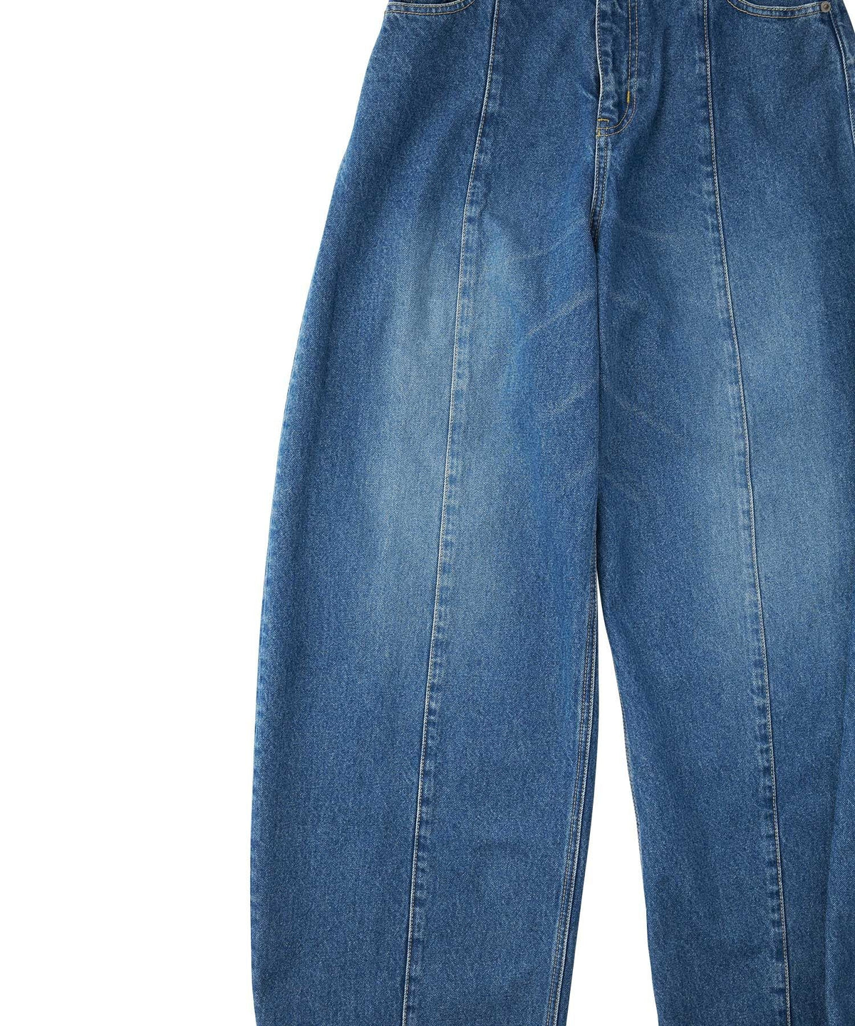 Curve Denim Pants
