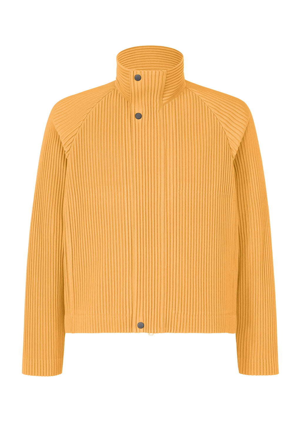 Tailored Pleats 1