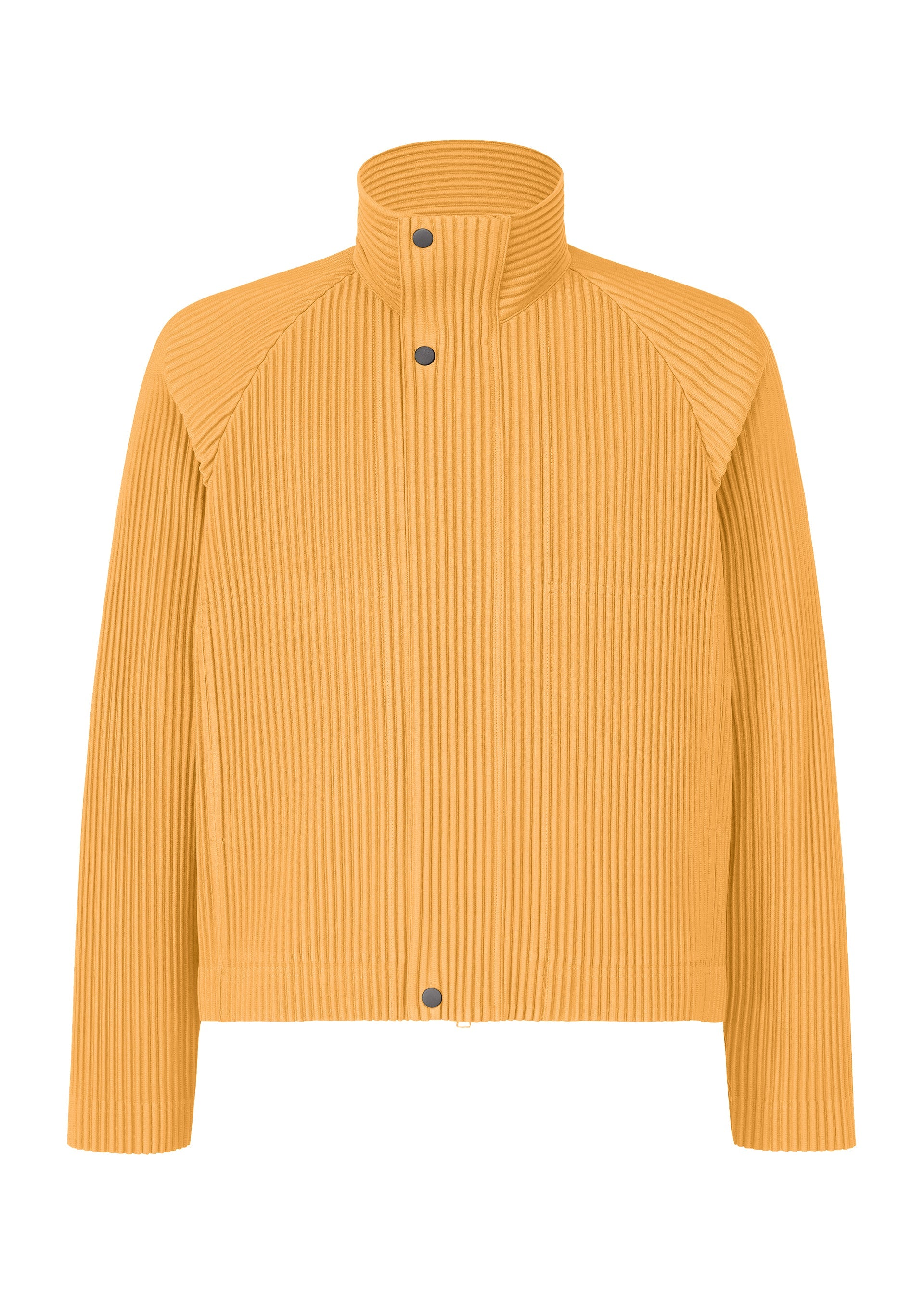 Tailored Pleats 1