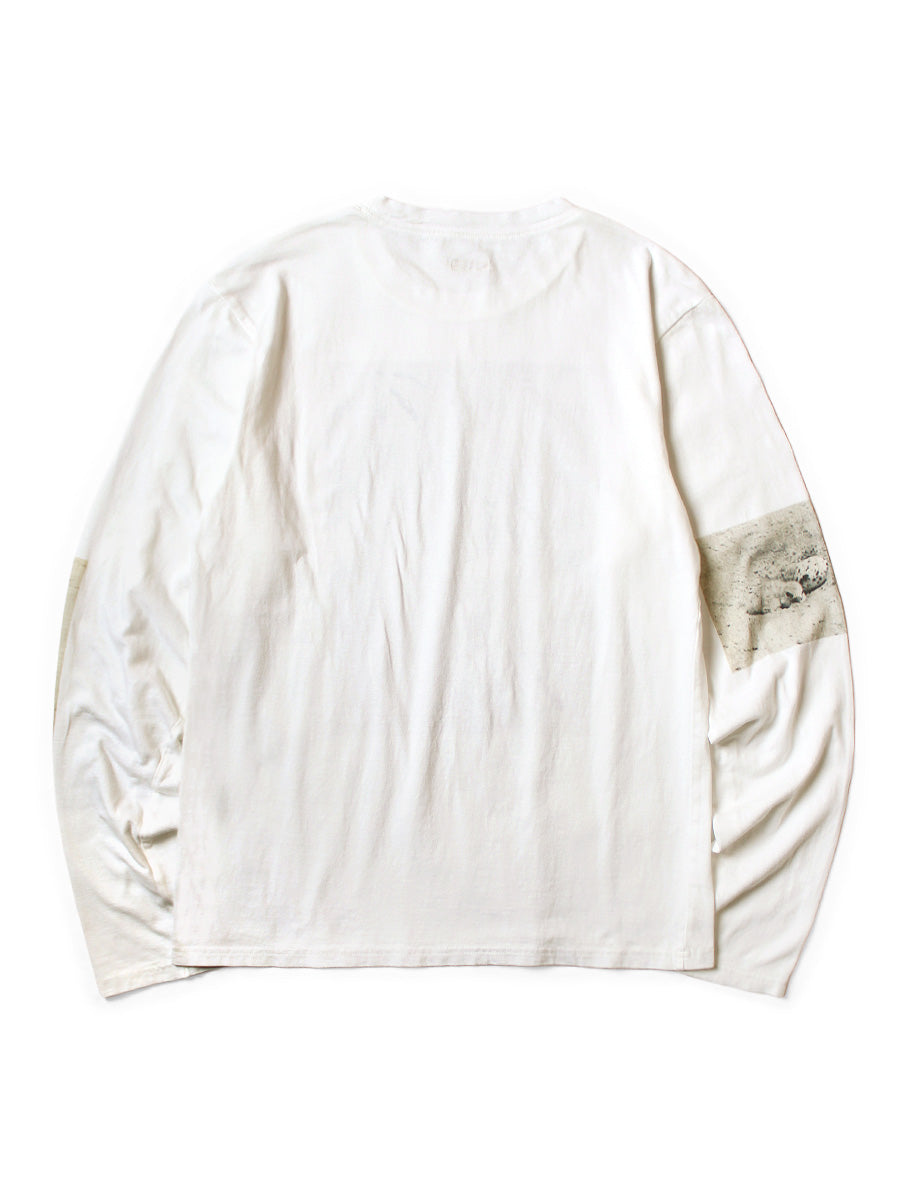 20/-Cotton CrewロンT(GULL FOOTpt)
