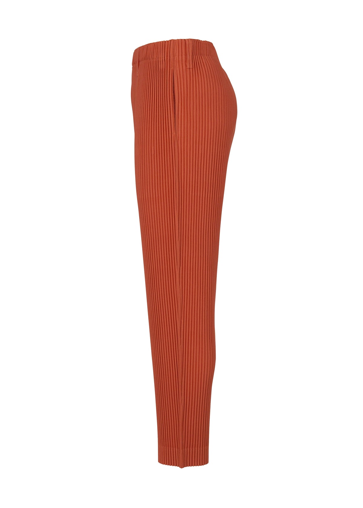 Tailored Pleats 3