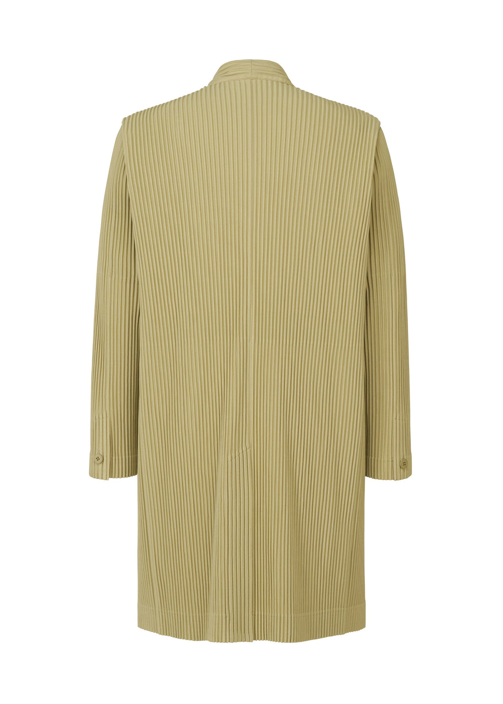 Tailored Pleats 1