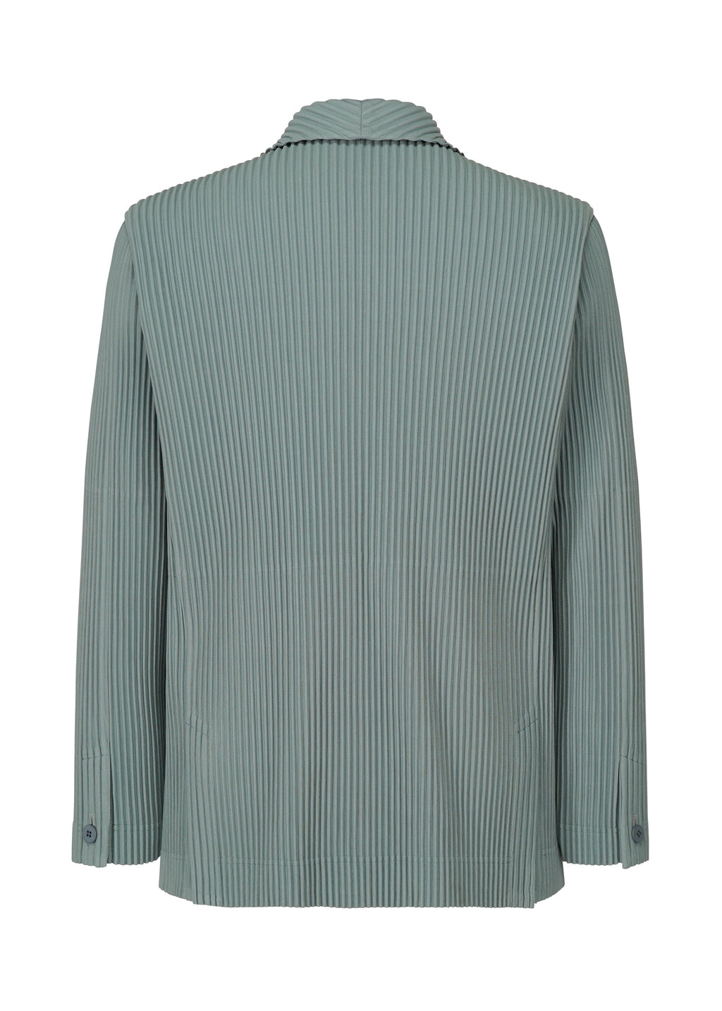 Tailored Pleats 1