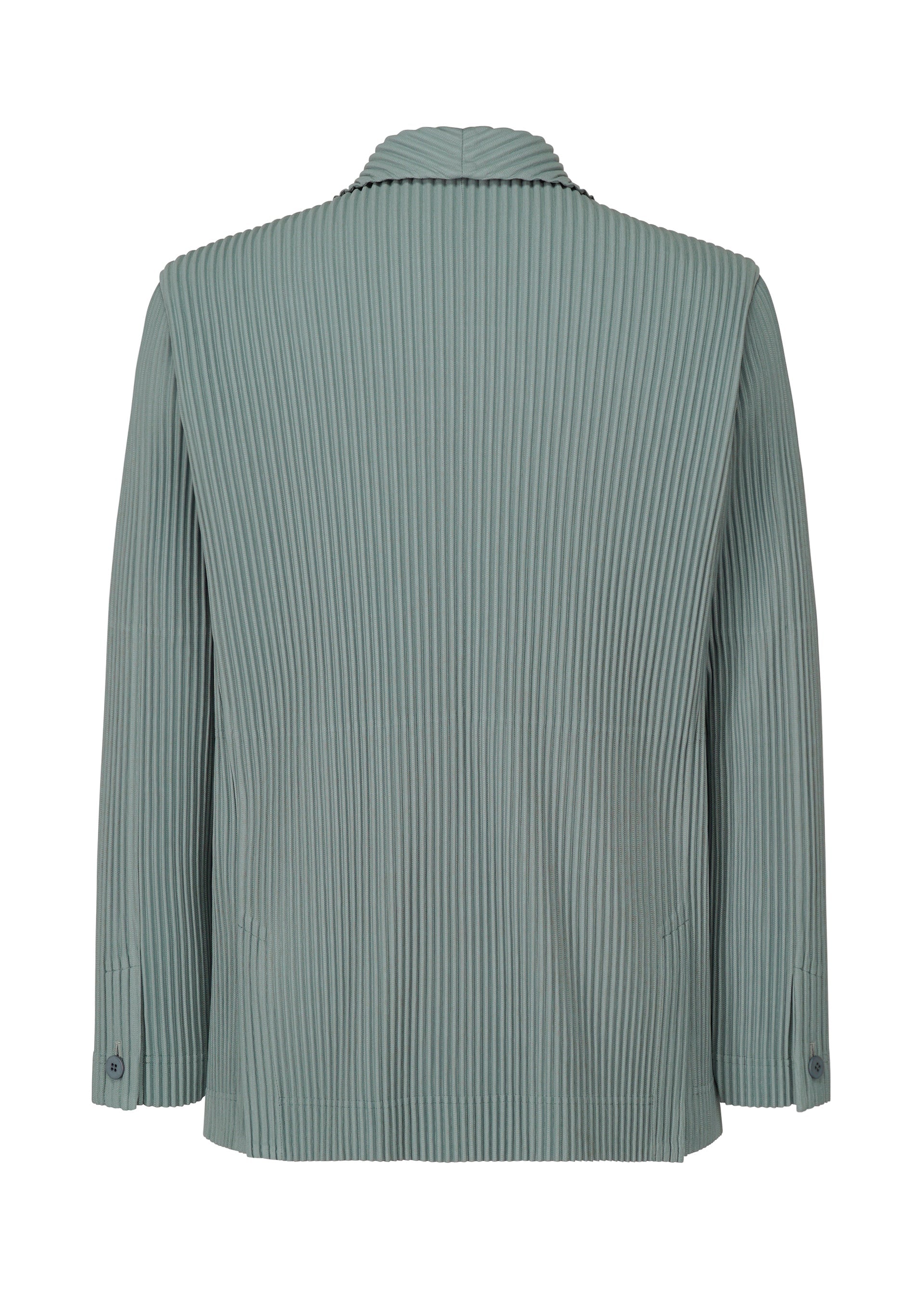 Tailored Pleats 1