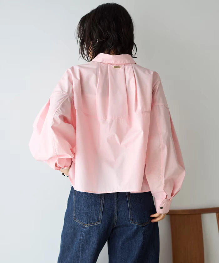 Switch Design Short Blouse