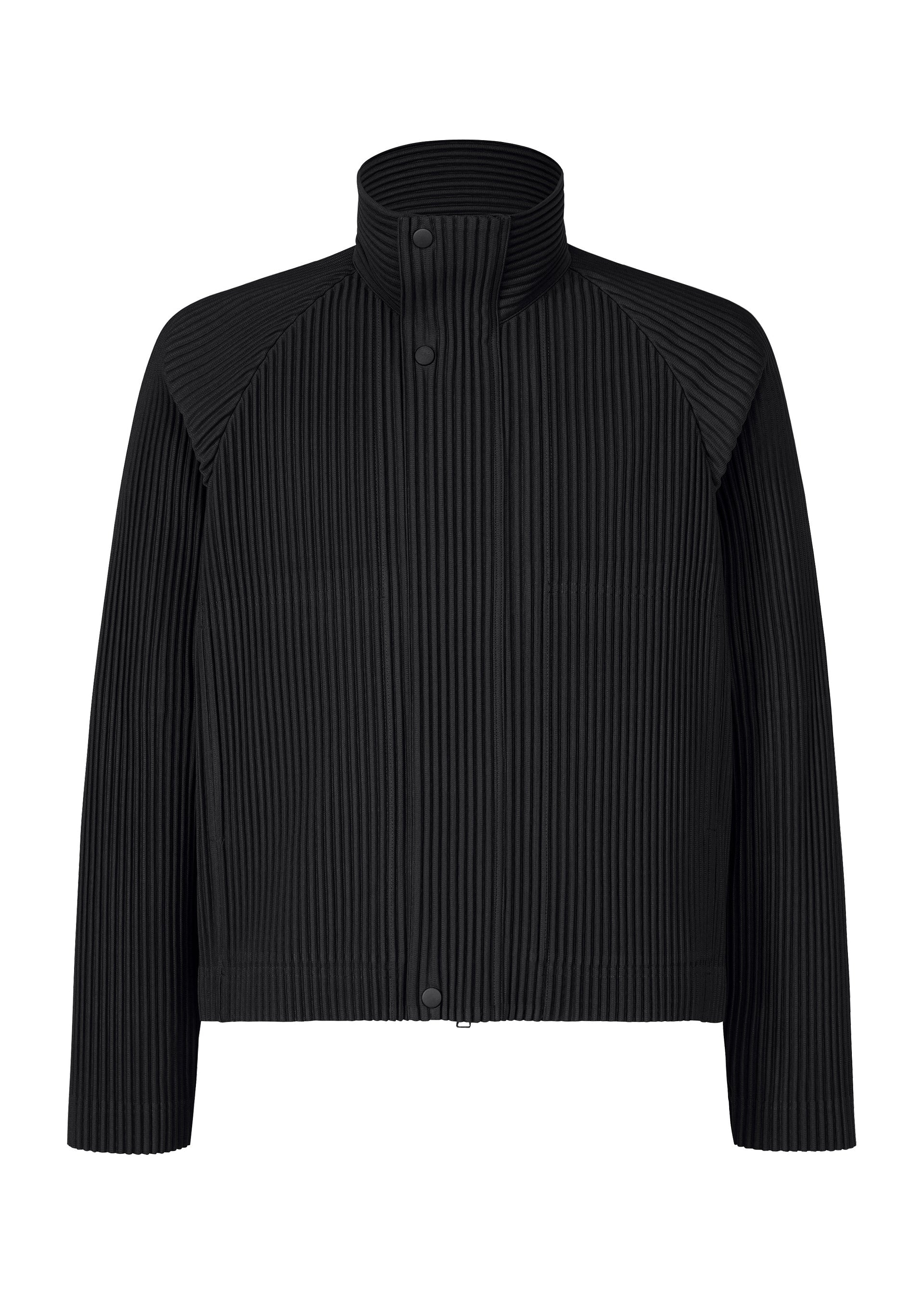 Tailored Pleats 1