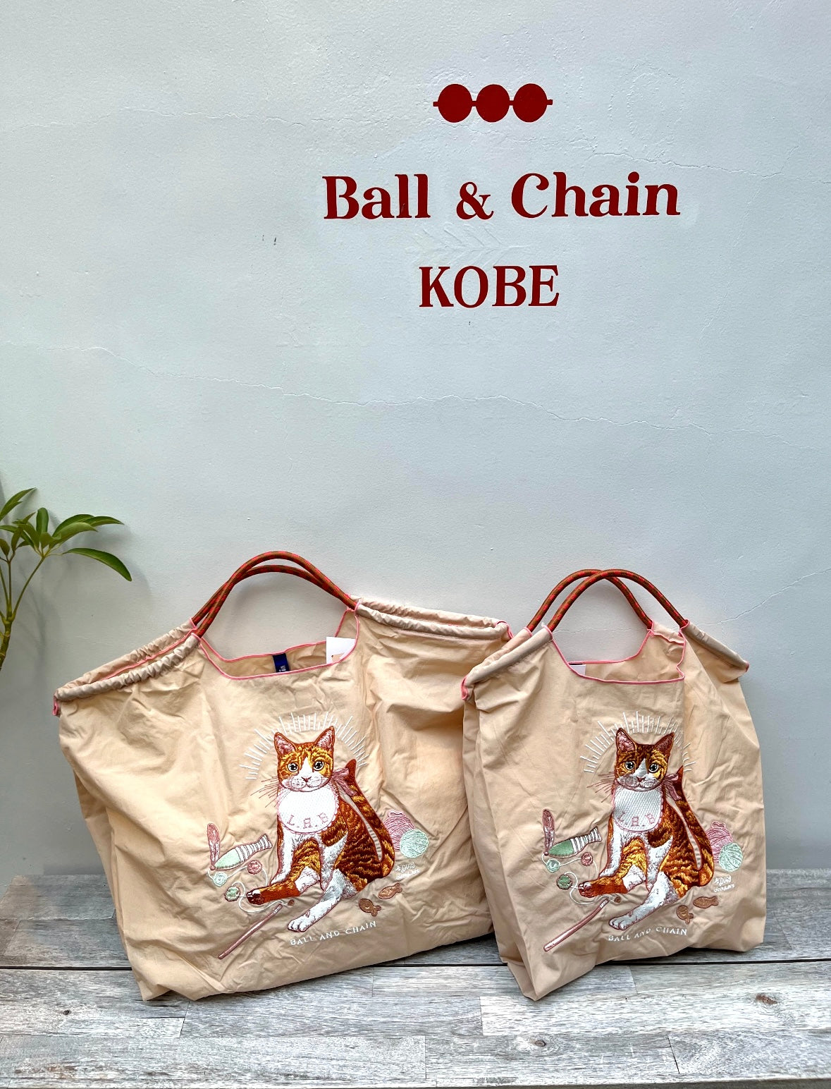D.BABY CAT(Baby Cat) L#21 S/BEIGE-313115