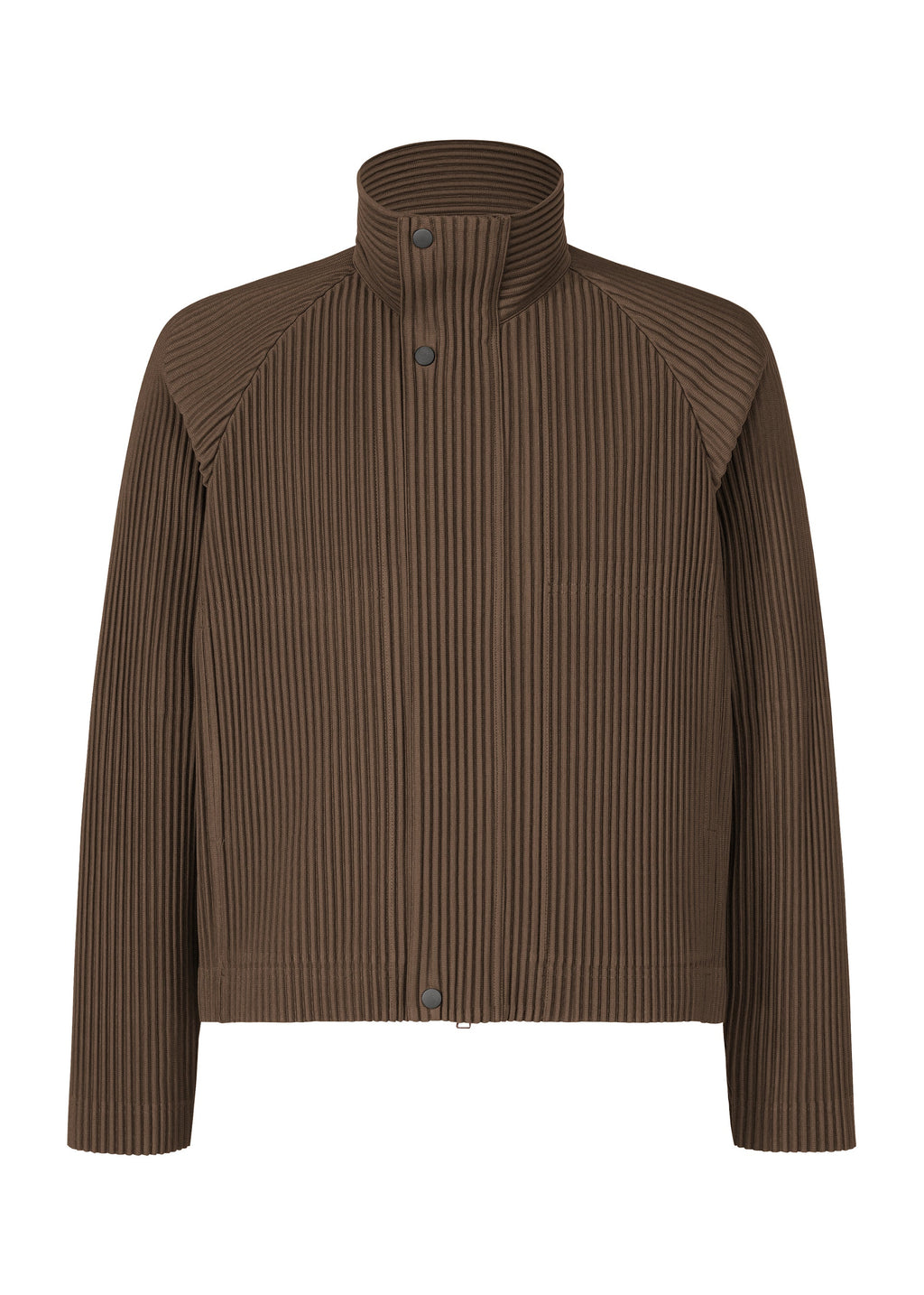 Tailored Pleats 1