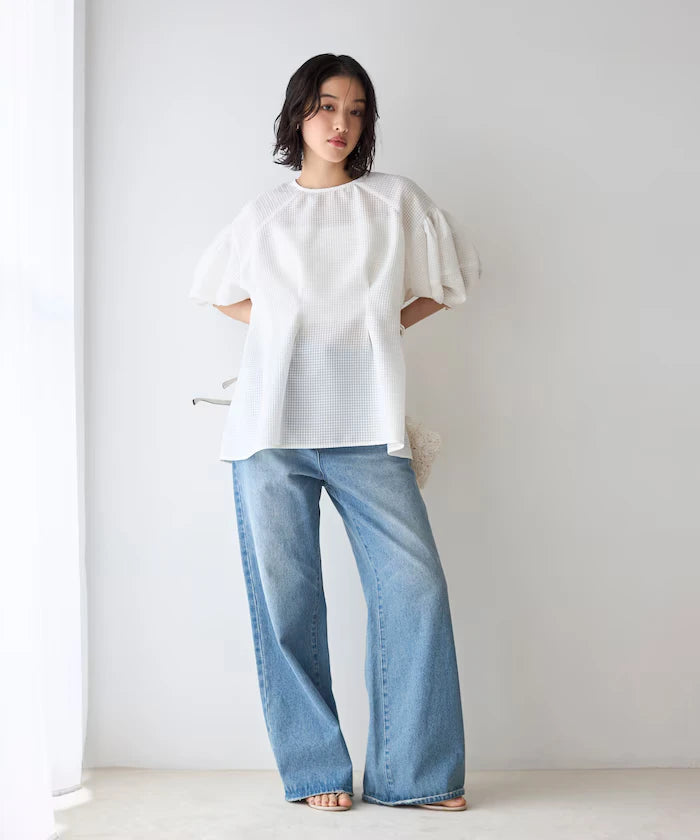 Sheer Check Balloon Sleeve Blouse